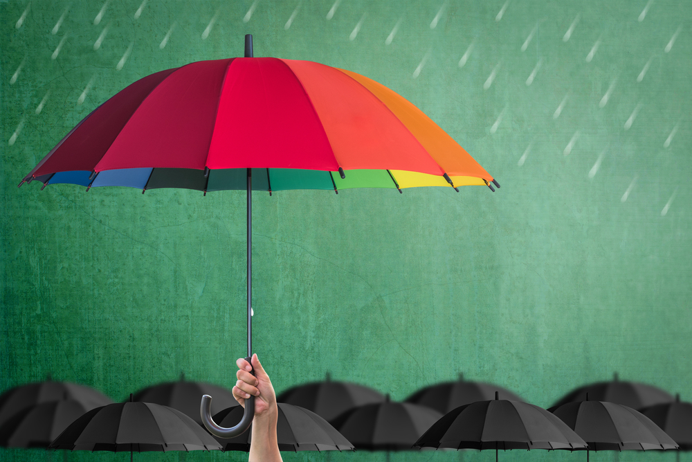 High-net-worth individuals and business owners need an asset protection plan.